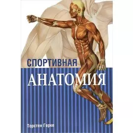Спортивная анатомия