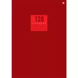 Стиль и цвет. Красный А4 ТЕТРАДИ А4 (*ШКС) 120Л. Обложка: ламинирование