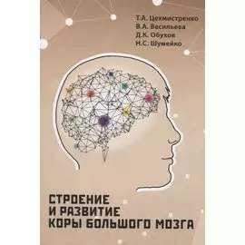 Строение и развитие коры большого мозга
