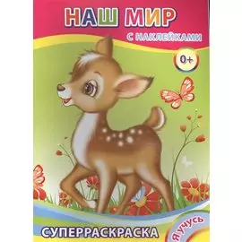 Суперраскраска с наклейками. Наш мир