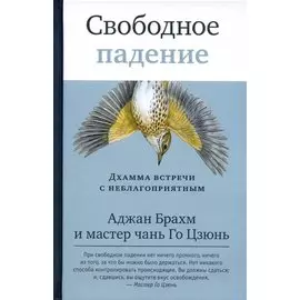 Свободное падение. Дхамма встречи с неблагоприятным