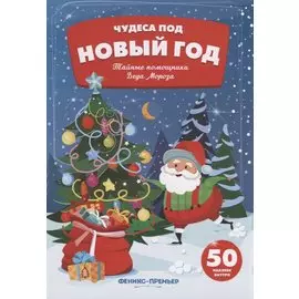 Тайные помощники Деда Мороза:к