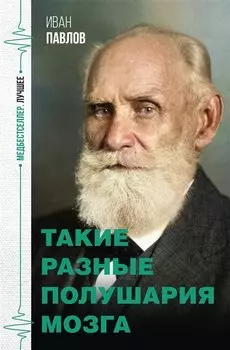 Такие разные полушария мозга