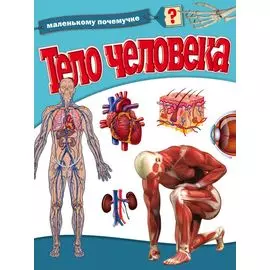 Тело человека