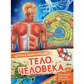 Тело человека