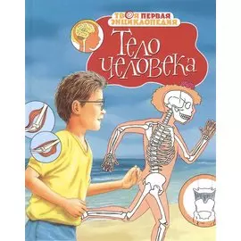 Тело человека