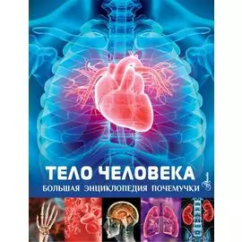 Тело человека