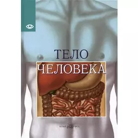 Тело человека