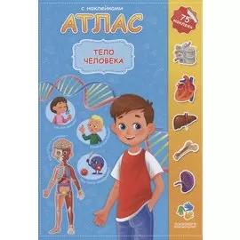 Тело человека. 75 наклеек
