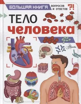 Тело человека