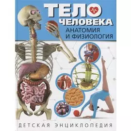 Тело человека. Анатомия и физиология. Детская энциклопедия