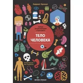 Тело человека. Инфографика
