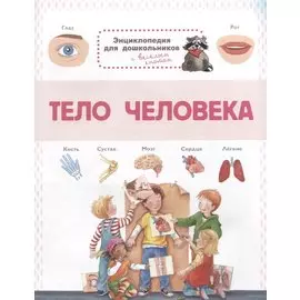 Тело человека. Энциклопедия для дошкольников с веселым енотом