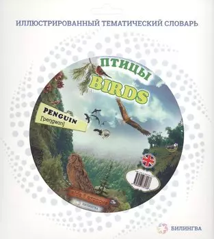 Тематический словарь BIRDS (Птицы).