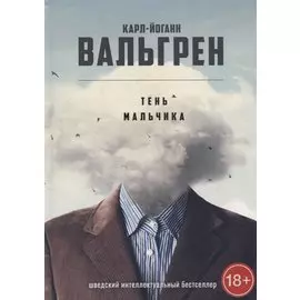 Тень мальчика