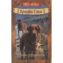 Тени сгущаются