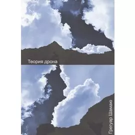 Теория дрона