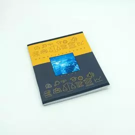 Теория и практика. Обществознание ТЕТРАДИ А5 (*скрепка) ПРЕДМЕТНЫЕ 48Л. Обложка: high-class