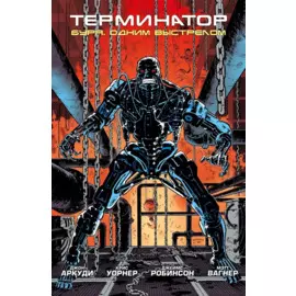 Терминатор. Буря. Одним выстрелом