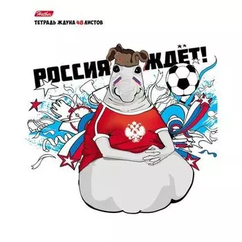 Тетрадь, 48л. А5 клетка Hatber/Хатбер Серия ЖДУН ждёт футбол 5 диз. в ассорт., на скрепке