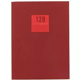 Тетрадь в клетку Listoff, "Стиль и цвет", А4, 120 листов, в ассортименте