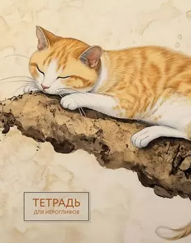 Тетрадь для иероглифов (рыжий котик)