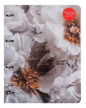 Тетрадь на кольцах в клетку InFolio, "Beauty. Цветы", А4, 120 листов