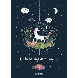 Тетрадь общая. Never stop dreaming! (А5, 48 л., мягкая обложка)