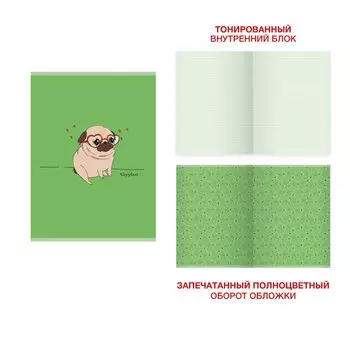 Тетрадь общая To you, А4, 48 листов, дизайн 5