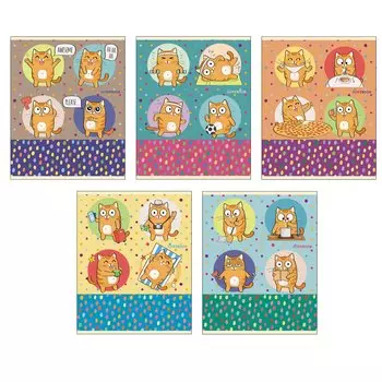 Тетрадь общая в клетку «Кошачьи будни», А5, 48 листов