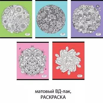 Тетрадь общая в клетку «Творческое настроение», А5, 96 листов