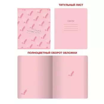 Тетрадь предметная по геометрии «Розовые мечты», 48 листов