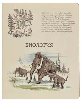 Тетрадь предметная в клетку Феникс+, "Биология", А5, 48 листов