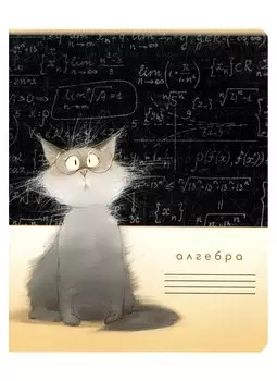 Тетрадь предметная в клетку "Кот учёный. Алгебра", 48 листов