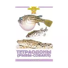 Зол.сов.Тетраодоны (рыбы-собаки)