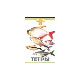 Тетры (цвет)