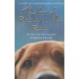 The Art of Racing in the Rain. A Novel