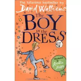 The Boy in the Dress