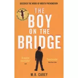 The Boy on the Bridge