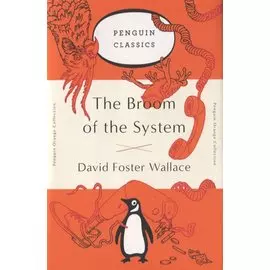 The Broom of the System