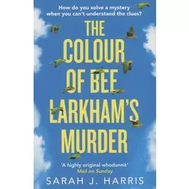The Colour of Bee Larkham’s Murder