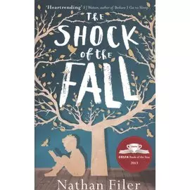 The Shock of the Fall