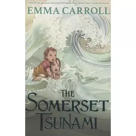 The Somerset Tsunami