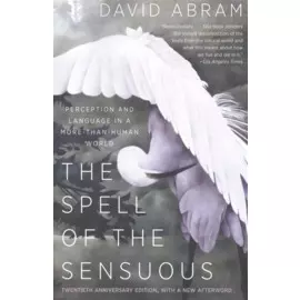 The Spell of the Sensuous