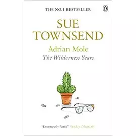 The Wilderness Years