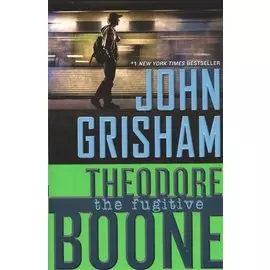 Theodore Boone. The fugitive