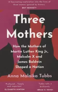 Three Mothers : How the Mothers of Martin Luther King Jr., Malcolm X and James Baldwin Shaped a Nation