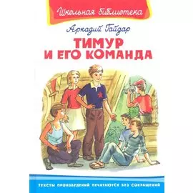 Тимур и его команда