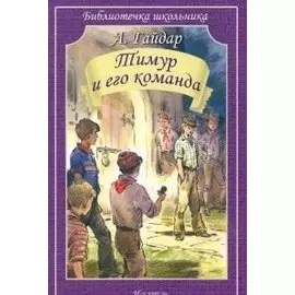 Тимур и его команда