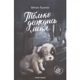 Только дождись меня